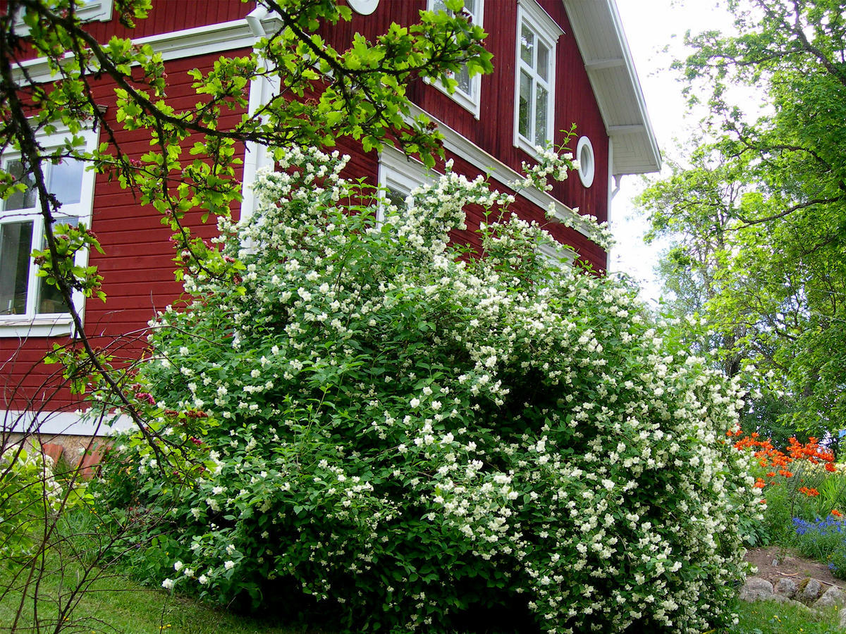 Wiborggården Bed&Breakfast Boda  Eksteriør bilde